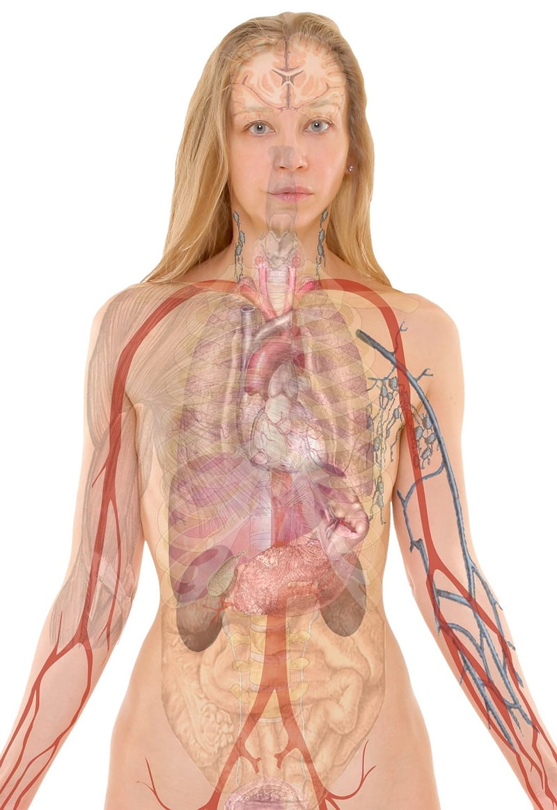 Breath Awareness Image